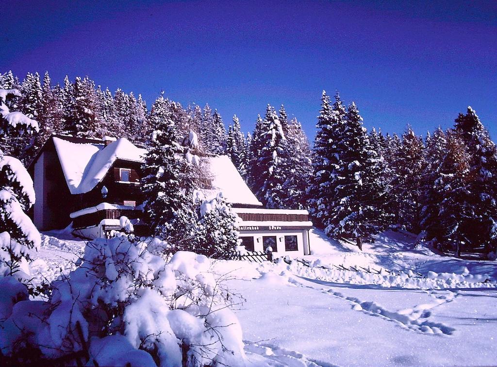 Almgasthof Judenburger Hutte Hotel Sankt Wolfgang Kültér fotó